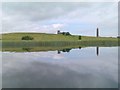 Devenish Island