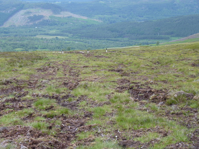 The hillside below Fairburn windfarm