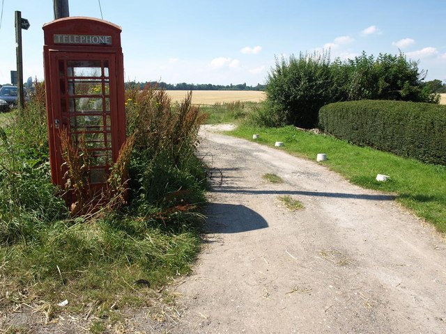 Overgrown phone box at Woodcutts