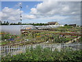 Springfield Nursery off Thorpe Lane