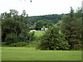 View across Warley Park Golf Club