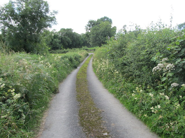 Minor road in the Townland of Drumgill