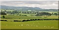 NU0622 : The Northumbrian countryside from Old Bewick by Derek Voller