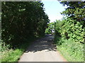 Track to Lough House