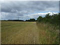 Farmland, Duddo Hill