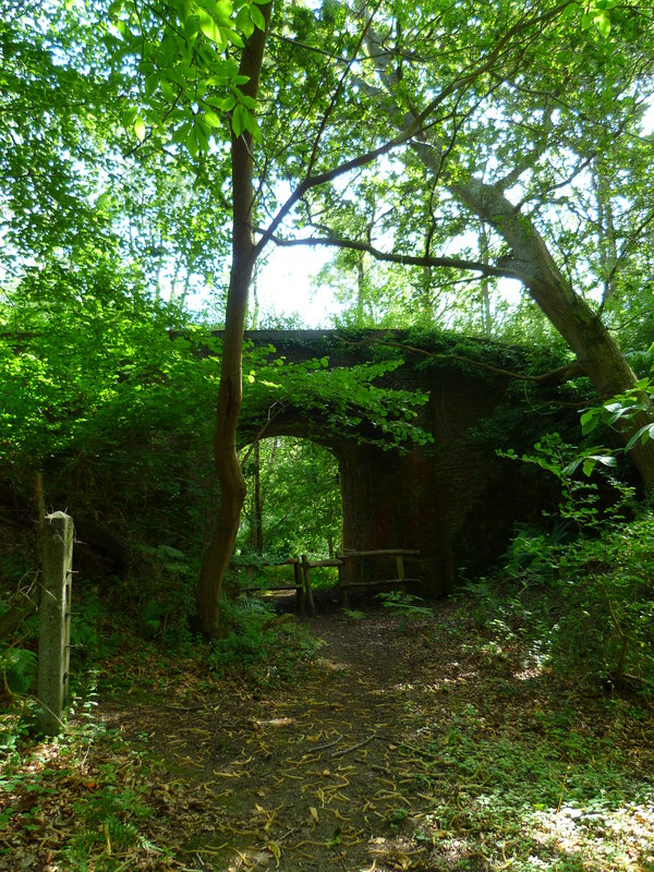 Old railway bridge over footpath by... © Shazz cc-by-sa/2.0 :: Geograph ...