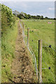 Footpath off South Scarle Lane 