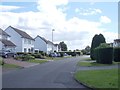 Ridgeway - viewed from Dales Way