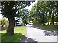 Thorpe Lane - viewed from New Way