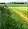 Heading north on the Leicestershire Round Footpath