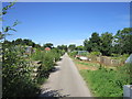 Newland Avenue allotments