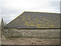 Barn roof with lichen, Kingston