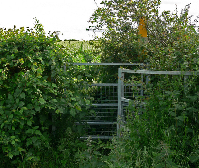 Overgrown kissing gate