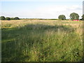 Bridleway to Wigsley