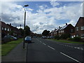 Elsdon Avenue, Seaton Terrace