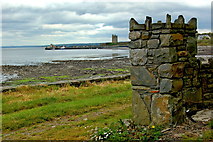 Q8451 : Loop Head Peninsula  - Carrigaholt - Distant Castle Ruins & End of Wall by Joseph Mischyshyn