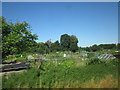 Allotments at Romsey