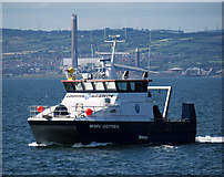 J5082 : The 'MMV Ostrea' in Bangor Bay by Rossographer