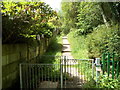 Steps up to a path, Bryn Onnen, Penderyn