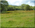 A rural view from the SW end of Bryn Onnen, Penderyn