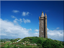 J4772 : Scrabo Tower by Rossographer