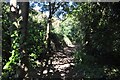 South Hams : Footpath