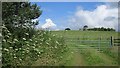 Farmland near Glenfarg