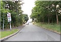 Ealand Road - viewed from Lonsdale Avenue