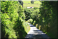 Minor road passing Blaen-y-glyn