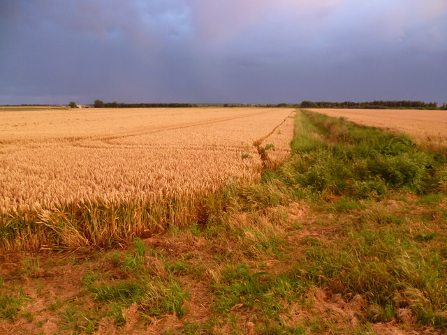 Storm Brewing On Conington Fen © Marathon :: Geograph Britain And Ireland