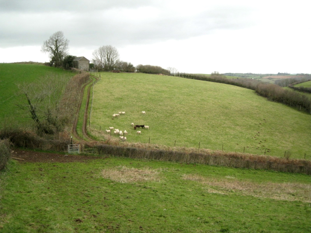 Sheep in a field below a barn