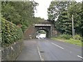 Railway bridge over Rudyard Road