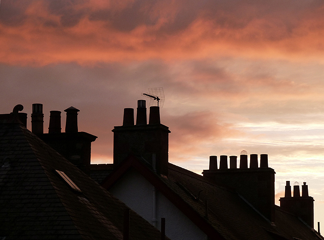Silhouetted chimney pots