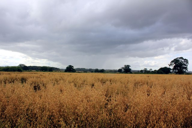 View across the Fields near Saighton
