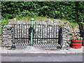 W7866 : Pump, Newtown Court, Cobh by David Hawgood