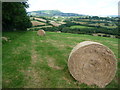 Summer meadow near Llanvetherine, Monmouthshire