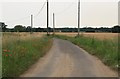 Cornfields around Trimley Lower Street