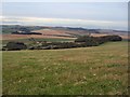 TQ3607 : View from Newmarket Hill by Paul Gillett