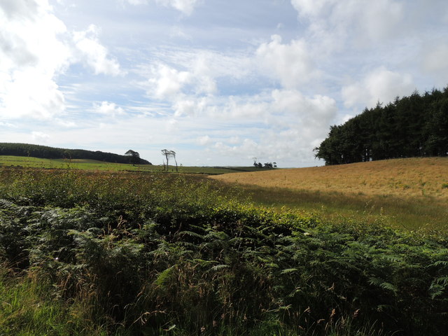 Farmland near Barrack Hill Wood
