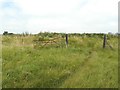 Gate beside former trackbed of Sheppey Light Railway