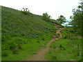 Path leading to Wolfen Hall from Saddle End Farm, at Chipping Brook