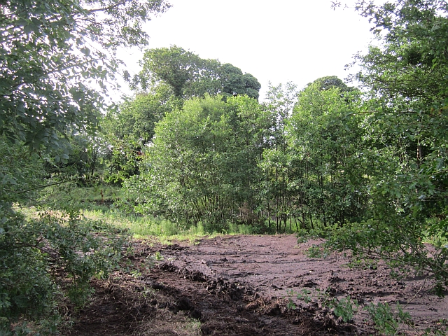 drainage-work-richard-webb-cc-by-sa-2-0-geograph-ireland