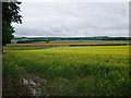 View south-east from St Cuthbert