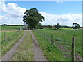 A bridleway to Walton Grange