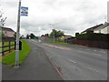 Lammy Bus Stop, Omagh