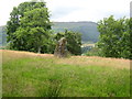 Ancient standing stone north of Achianich