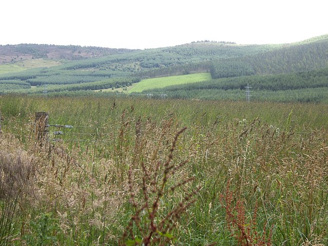 View southeast towards Tillylodge
