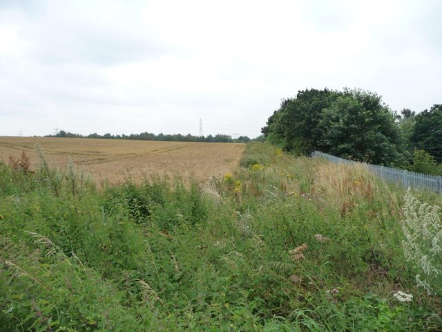 Uncultivated field margin by the railway line