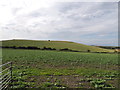 Farmland at Houdston