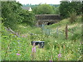 Overgrown track